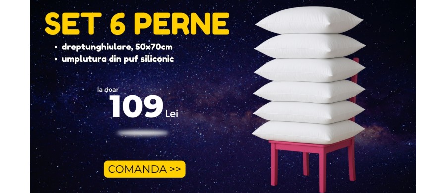 set 6 perne 99 lei