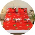 Huse cu Elastic Craciun (64)