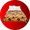 OFERTA TRIO: 3 paturi la 109 Lei