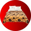 OFERTA TRIO: 3 paturi la 109 Lei (546) OFERTA TRIO: 3 paturi la 109 Lei (546)