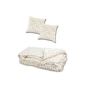 SET Pilota de iarna pentru pat dublu + 2 perne patrate din puf de gasca cod PG12
