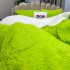 Pilota CoCoLiNo Fluffy, cu Blanita tip Sherpa, Alba, 200x230cm + 2 fete de perna 50x70cm, matlasata, Verde [4]