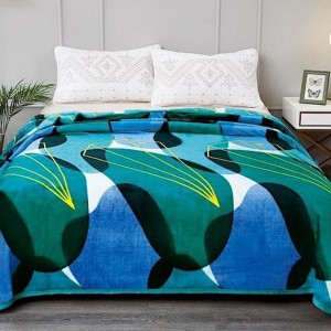 Patura pufoasa cocolino 200x230cm, 240g/mp, Verde, Albastru, abstract