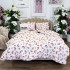 Lenjerie de Pat Dublu, Bumbac Ranforce, 6 piese, Croită cu Grija in Atelierul Cumparamisim - Lux Suprem, Rafinament Desăvârșit, Confort Regal, Alb, Roz, pepene  [2]