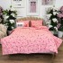 Lenjerie de Pat Dublu, Bumbac Ranforce, 6 piese, Croită cu Grija in Atelierul Cumparamisim - Lux Suprem, Rafinament Desăvârșit, Confort Regal, Roz, pepene  [2]