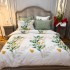 Lenjerie Pat Dublu,  FINET, 6 piese, Alb, Verde, Frunze [2]